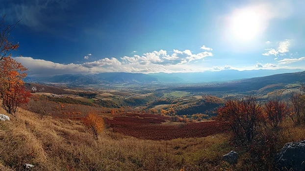 Drveće stoji na brdu, osunčano, s pogledom na dolinu pod plavim nebom s oblacima.