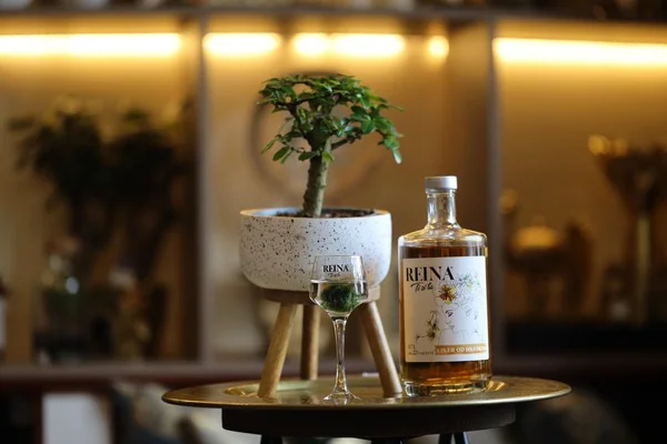 Boca pića i čaša stoje uz saksiju na stolu u osvijetljenom unutrašnjem prostoru. Tekst: "REINA".