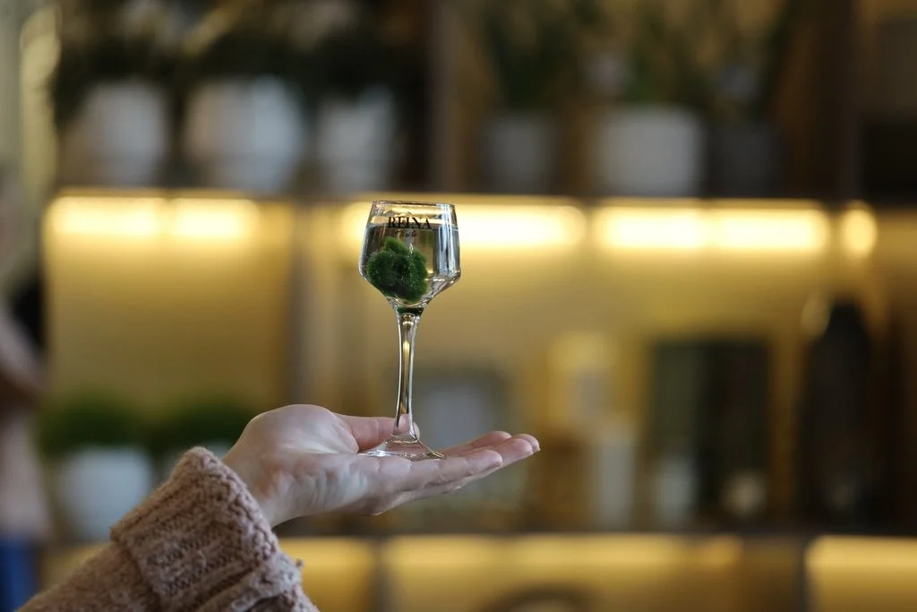 Ruka drži čašu s ukrasnim biljem, u unutrašnjem prostoru s prigušenim osvjetljenjem. Na čaši piše "TRNK".