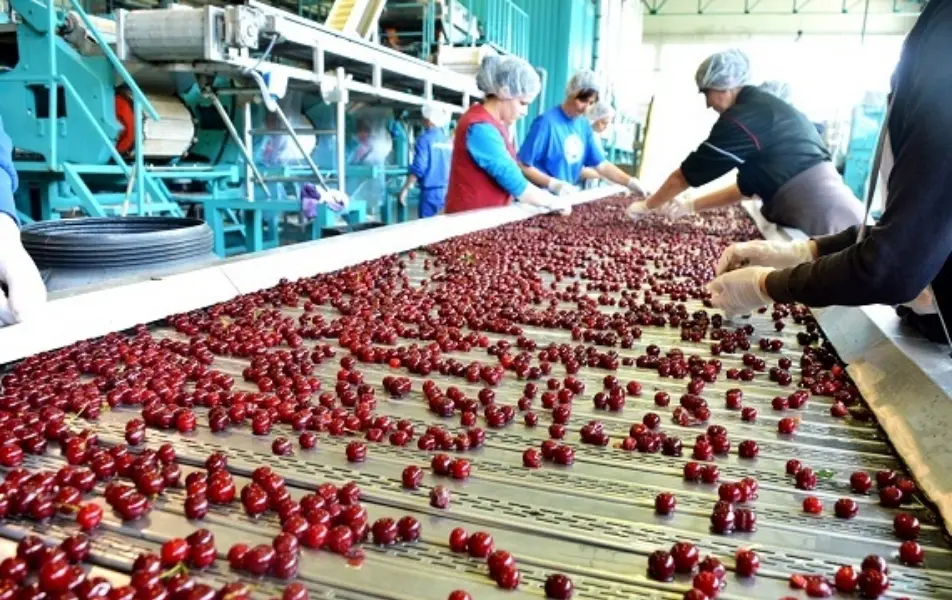 duboko zamrzavanje prijedorcanka